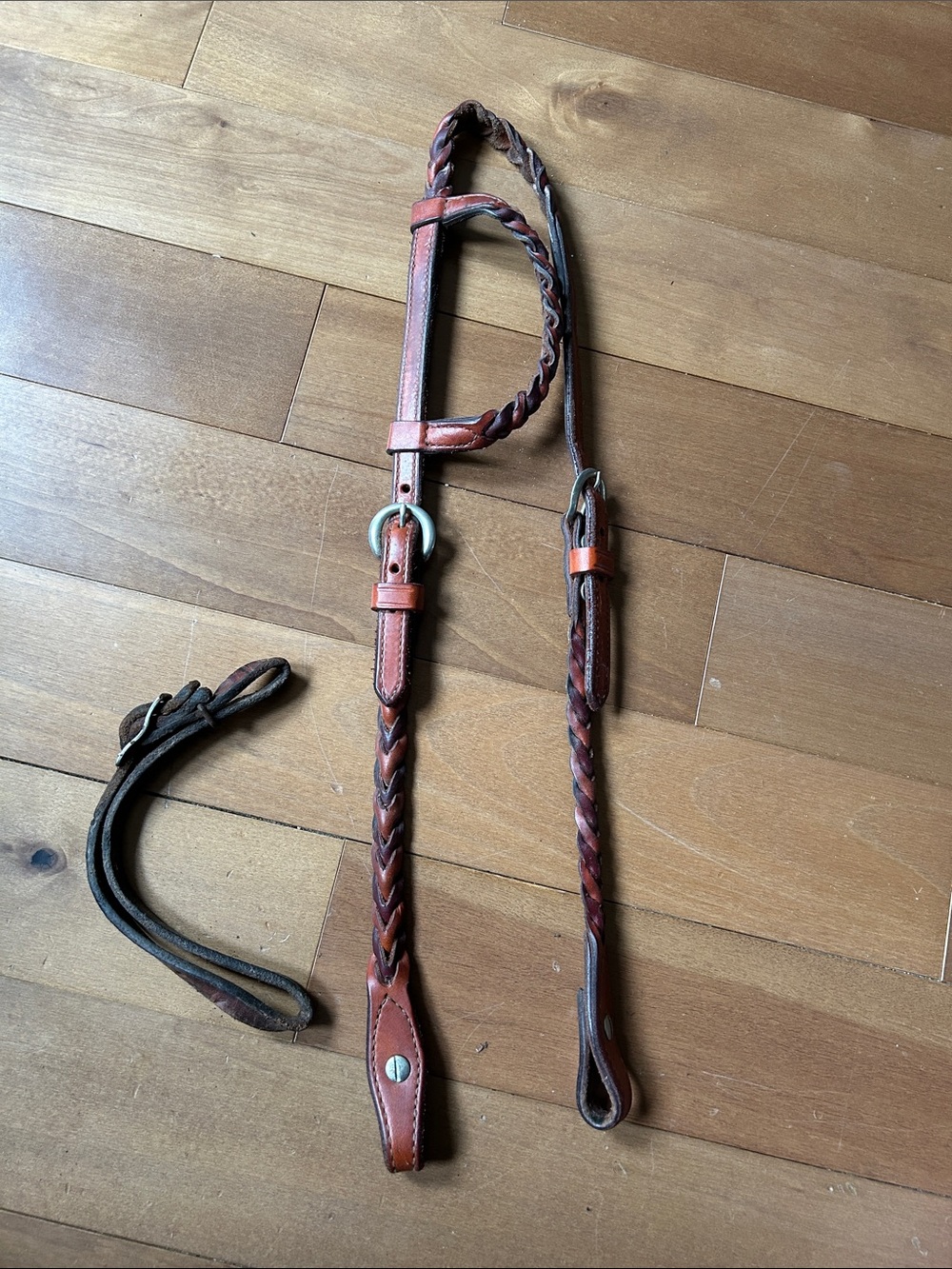 Champion braided leather headstall